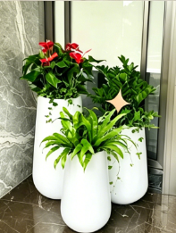 杭州湾商务绿植出租-镇海花木租摆服务-镇海绿植租赁公司选择-宁波花木租摆费用